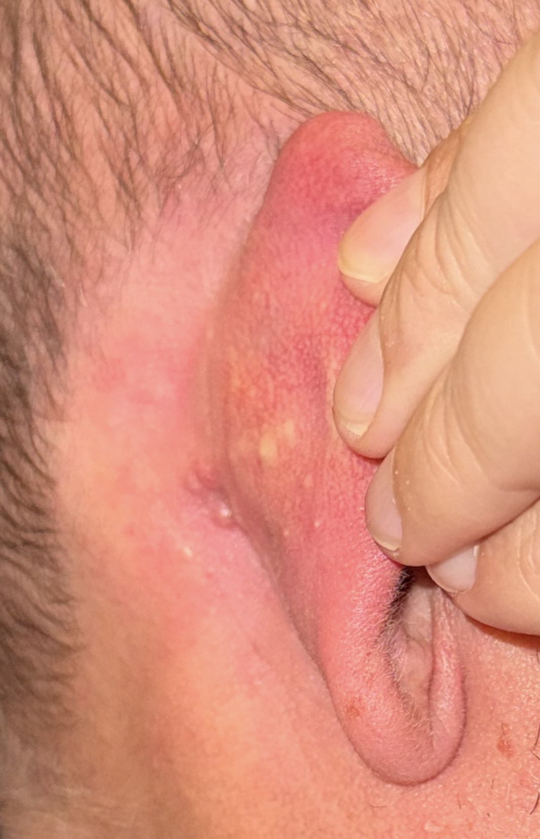 Allegato immagine