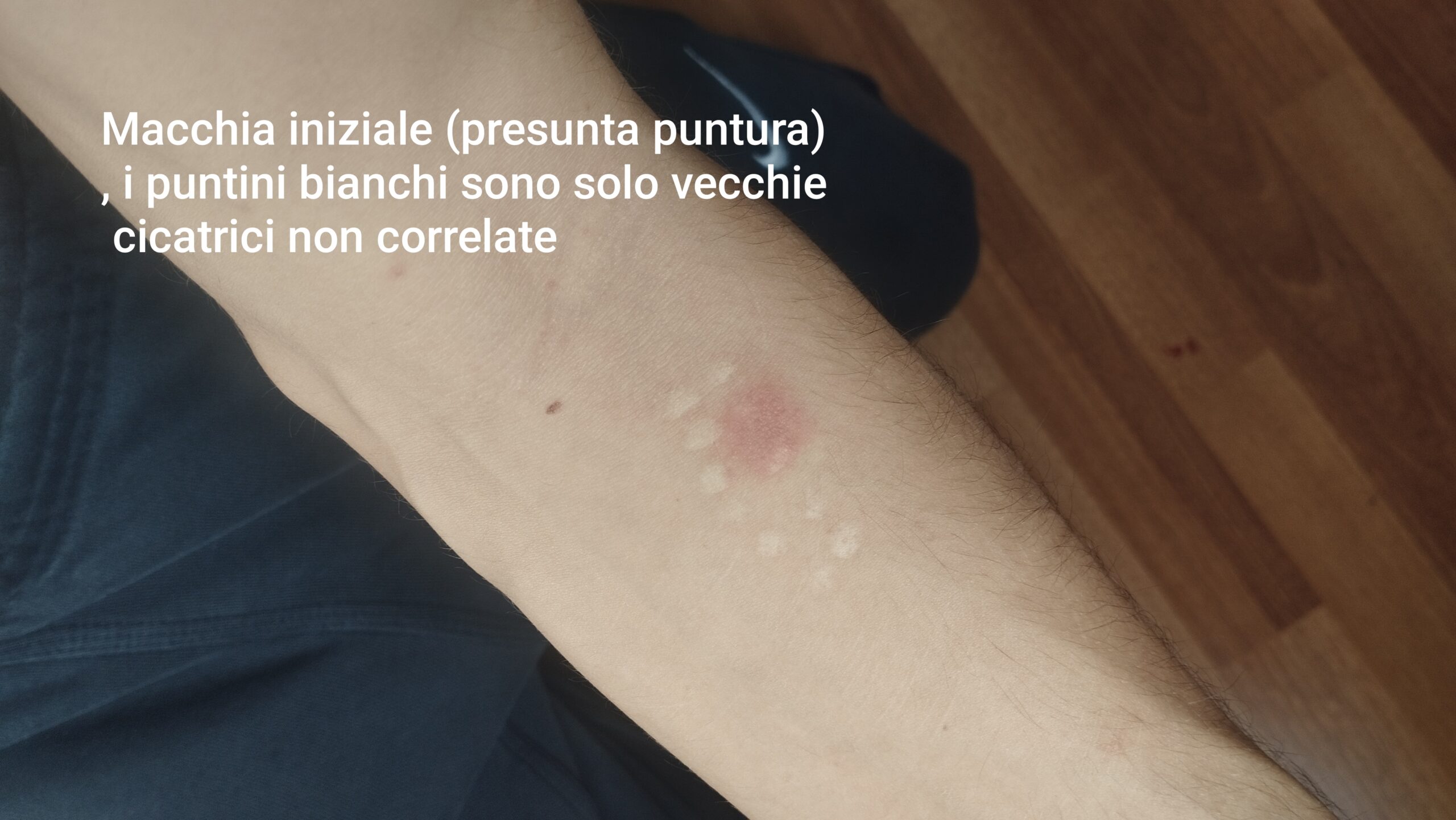 Allegato immagine
