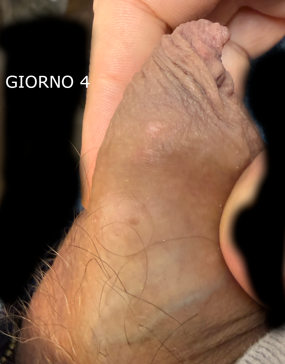 Allegato immagine