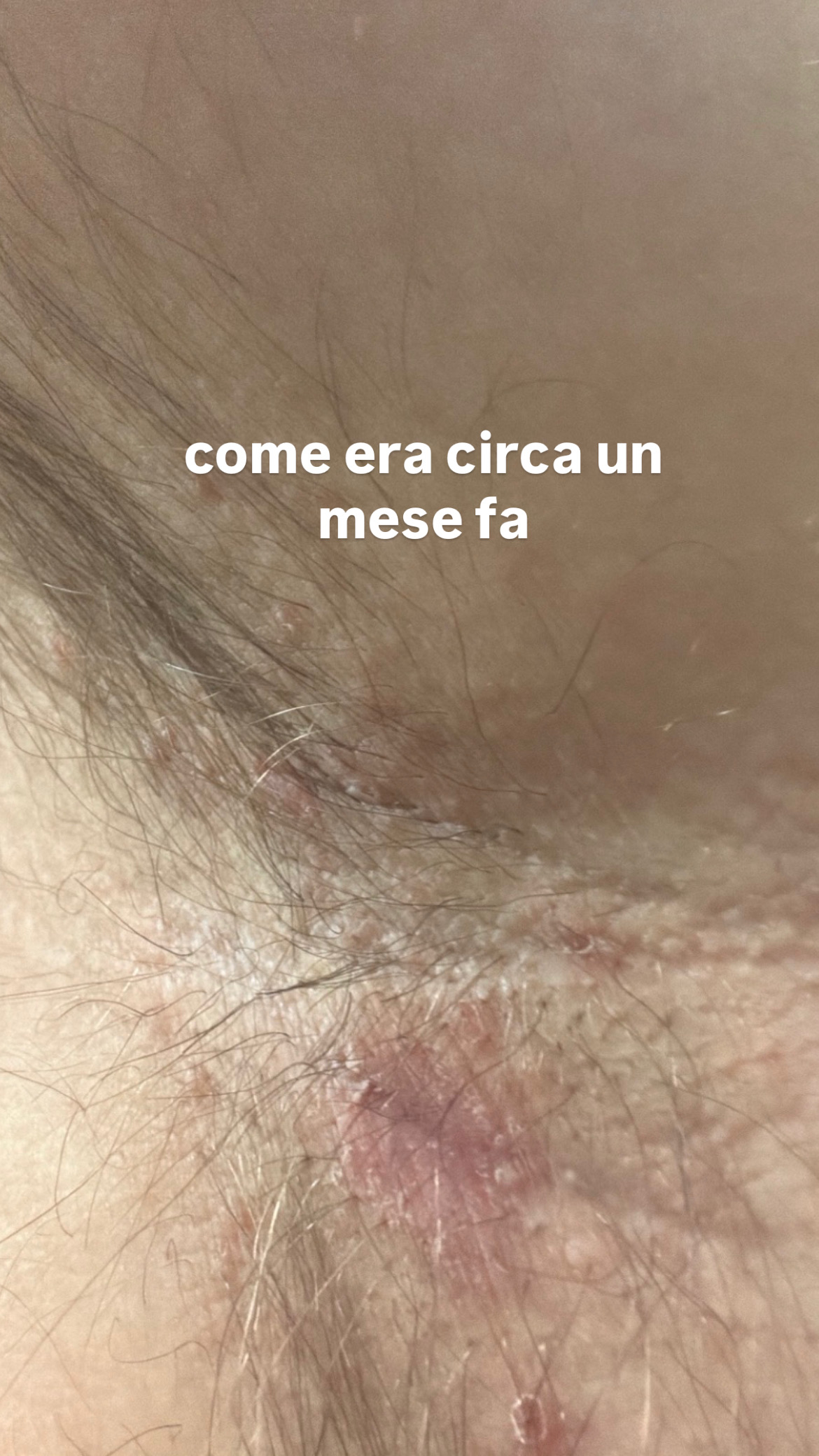 Allegato immagine